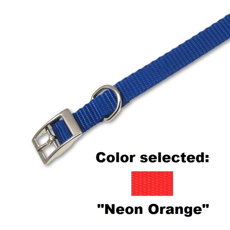 Traditional Collar - 5/8" Width, - Lucky Pet
